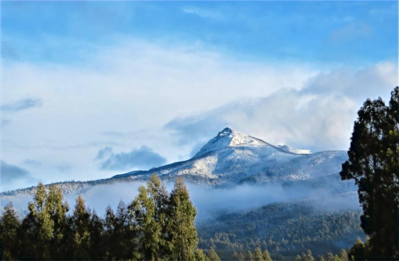 Maydena Mountain Cabins Экстерьер фото